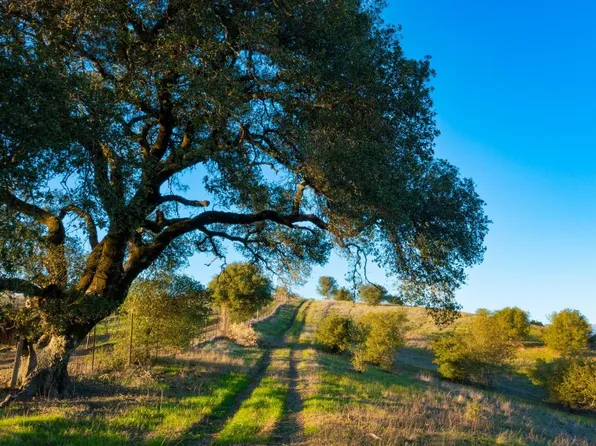 0 Brooks Road, Windsor, CA 95492