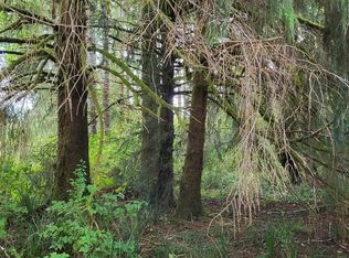 34 Edie Ln, Naselle, WA 98638