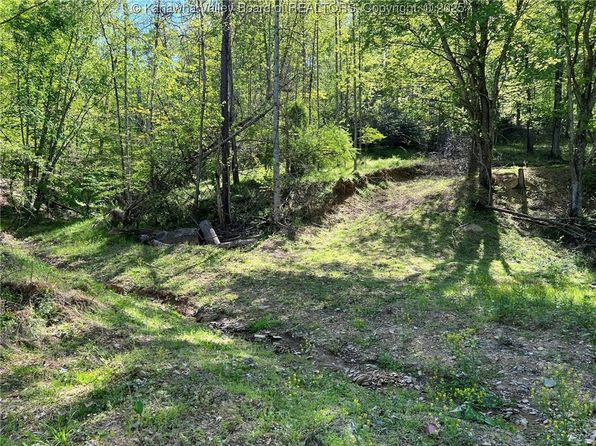0 Upper Mud River Rd, Hamlin, WV 25523