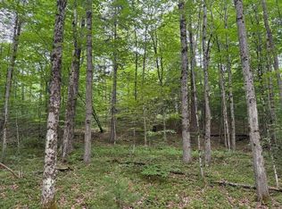 1.1 Dutch Hill Road Spur #1, Cincinnatus, NY 13040