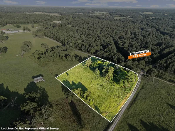 6365 Peter Bonner Rd, Hallsville, TX 75650