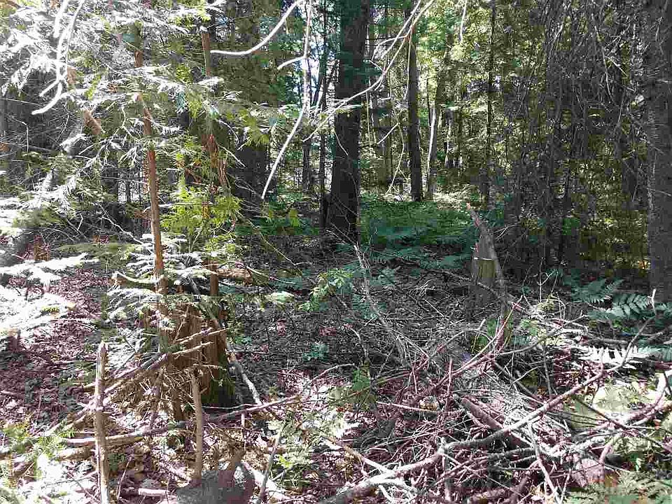 2nd image of Whitetail Ct