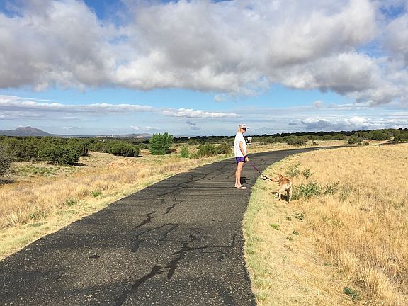 Great walking trails