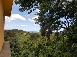 1 Sector Carmita, Juncos, PR 00777