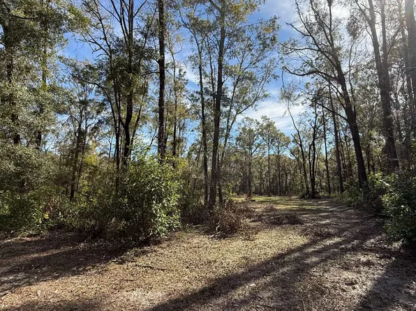 Tbd 284th Ter, Branford, FL 32008