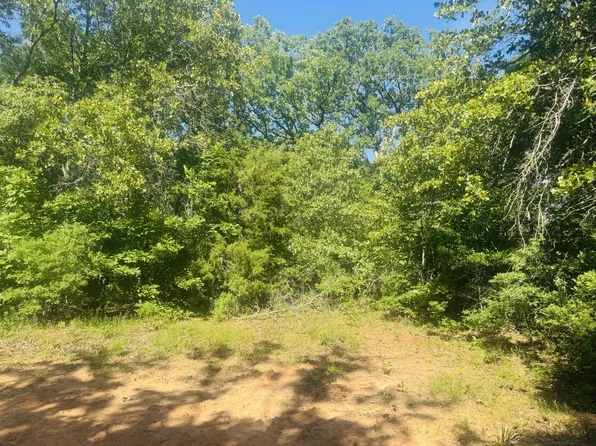 0 Private Road 45611, Blossom, TX 75416