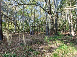 2515 Joseph Pearline Rd, Johns Island, SC 29455