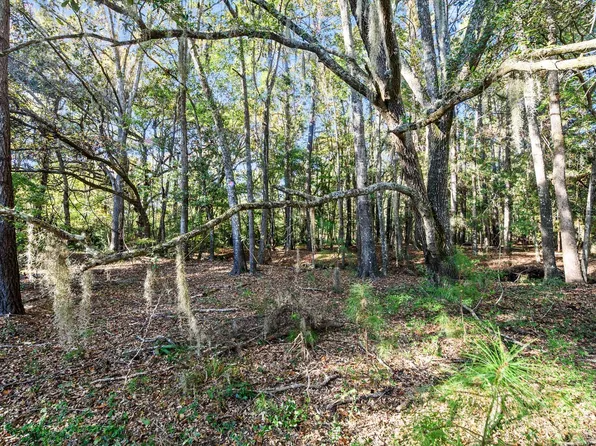 2515 Joseph Pearline Rd, Johns Island, SC 29455