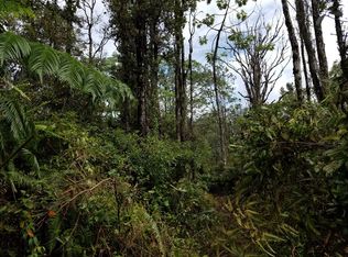 16-1836 39th Ave LOT 33, Keaau, HI 96749