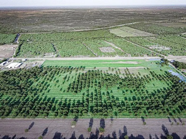 LOT Fm 1908 #C, Quemado, TX 78877