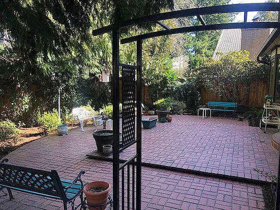 Back yard