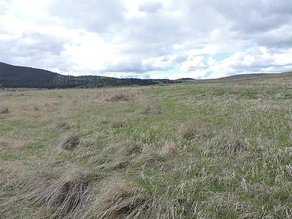 3rd image of Nhn Walking Horse Ln