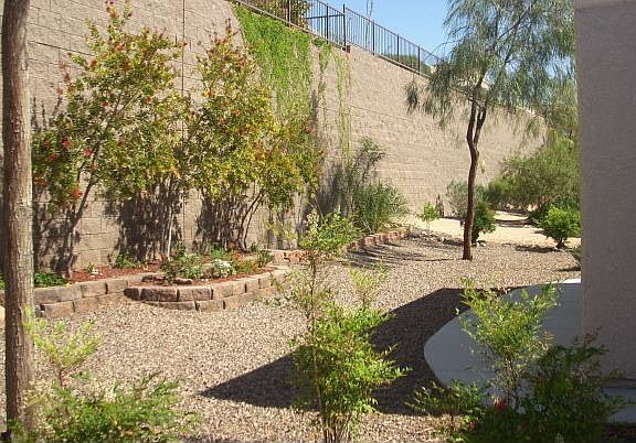 Mature Landscaping