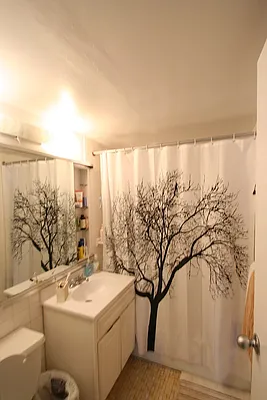 Rented by Green Home NY Realty LLC | media 3