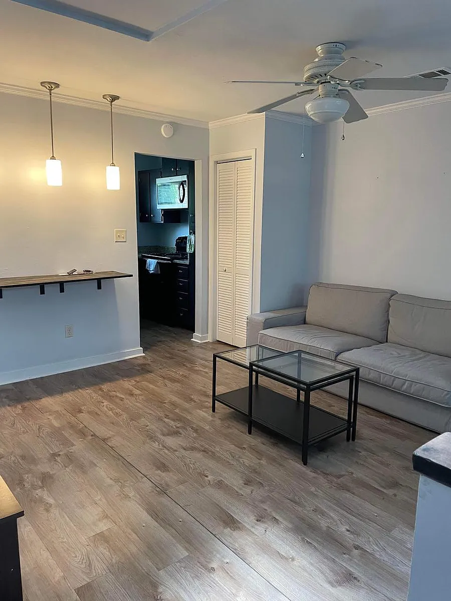 Living room - 815 W Pensacola St #8