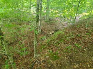 Clearwater Rd, New Tazewell, TN 37825