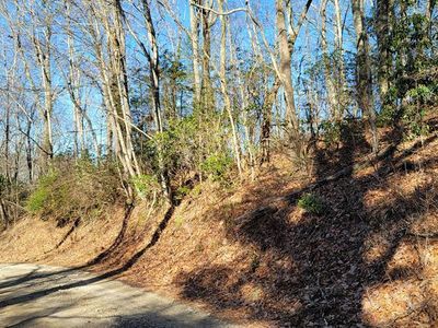 0 Evans Creek Road, Scaly Mountain, NC, 28775
