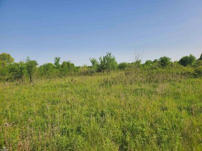 Jeddo Rd, Yale, MI, 48097