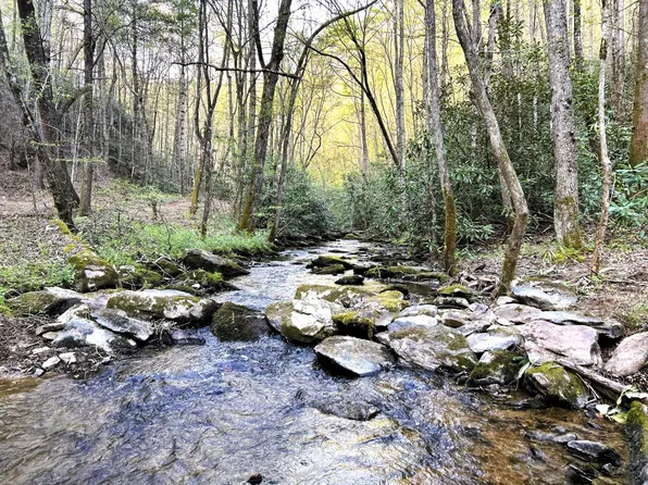 40 Ivy Trl, Tellico Plains, TN 37385