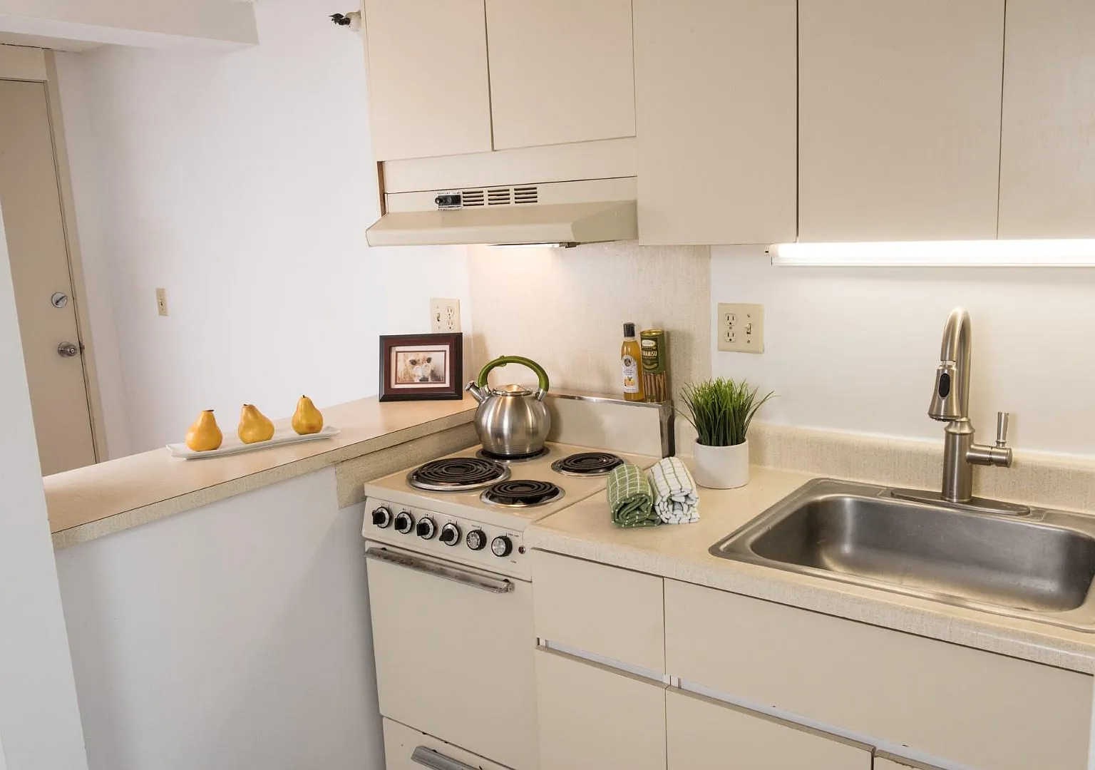 Studio, 360 sqft, $1,600 — Photo 4