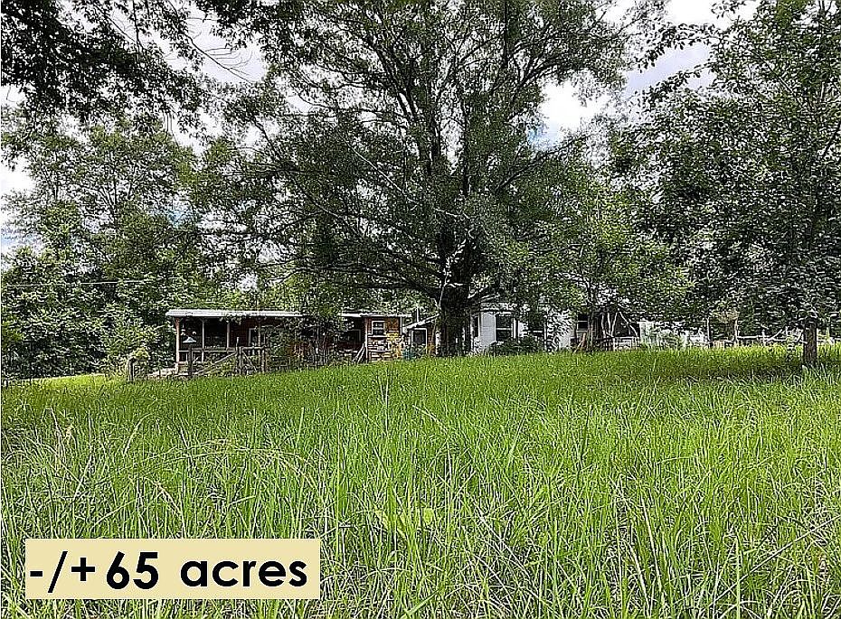 1st image of 237 Marion Stough Rd