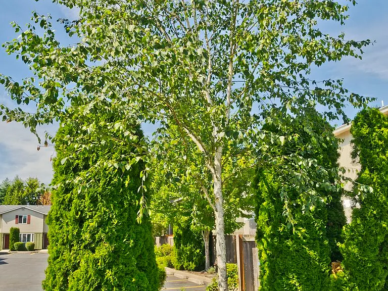 205 Green Ln — Photo 26