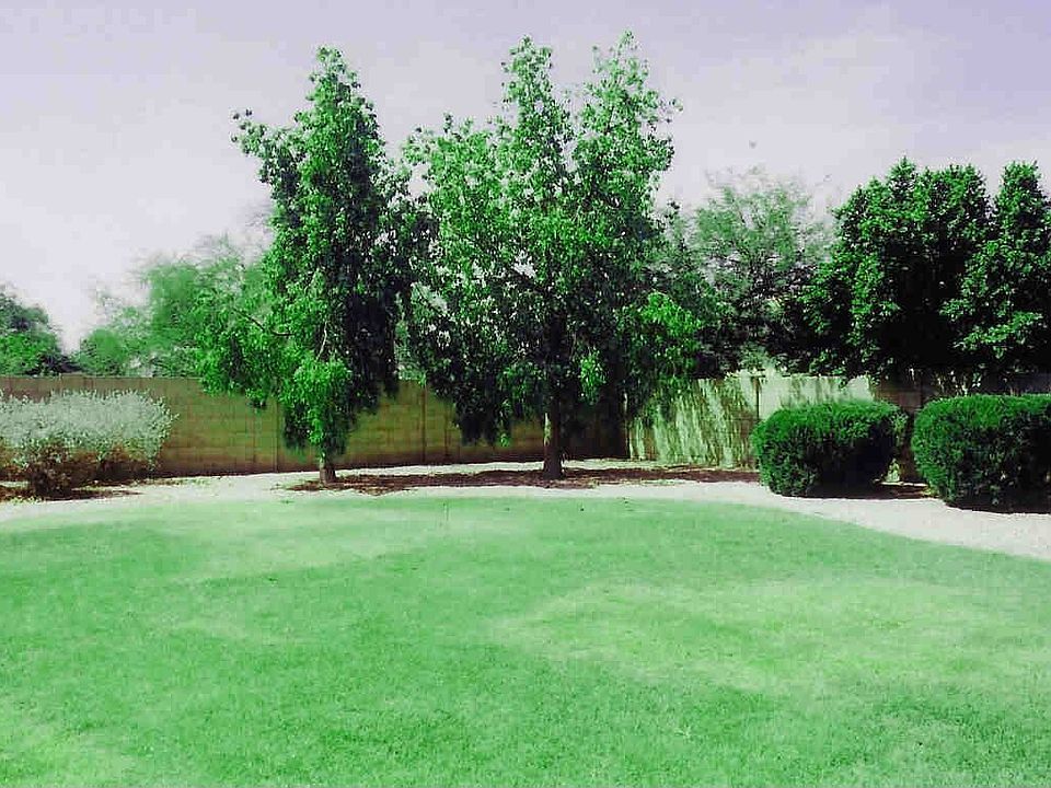 spacious, grassy backyard