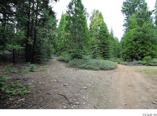 167 Spring Rd, Camp Connell, CA 95223