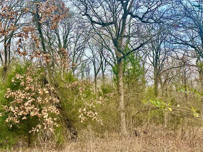 0 Daniel Boone Ln, Malakoff, TX, 75148