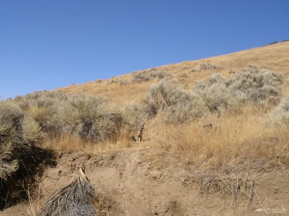 23001 Matterhorn Dr #130, Tehachapi, CA 93561