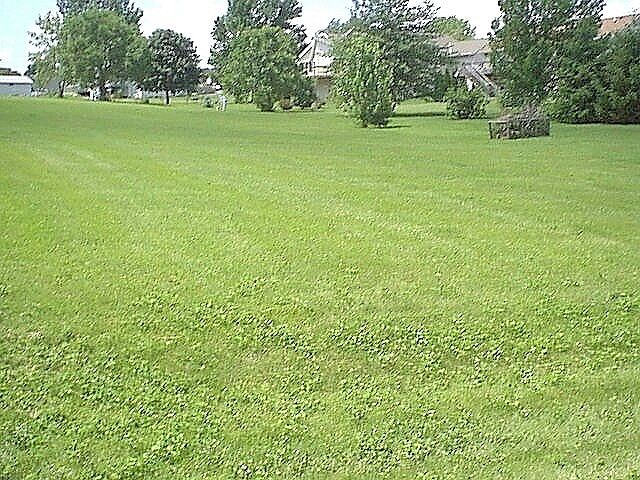 1st image of 2327 Breckenboro Dr