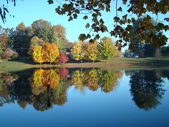 Lake in the fall