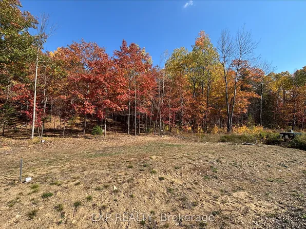 0 Yantha Cres Lot 40, Madawaska Valley, ON K0J 1B0
