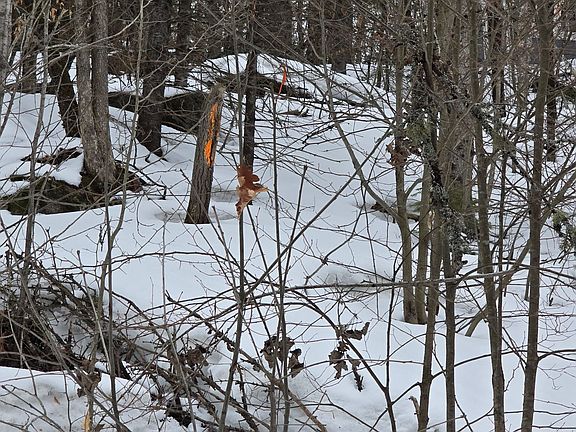 2nd image of 107 Balsam Chutes Rd