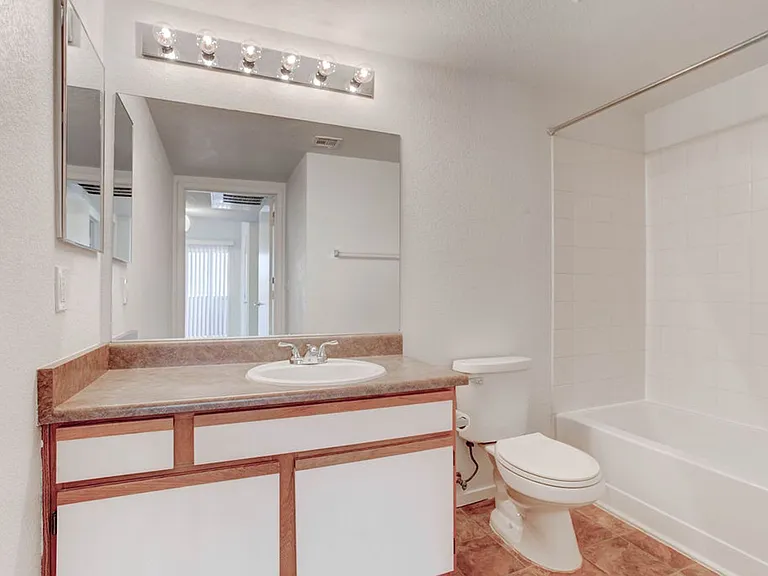 6650 W Warm Springs Rd #1080 — Photo 21