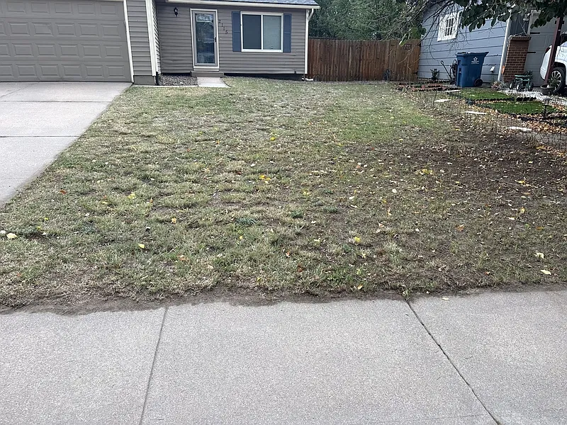 3 bed, 2.0 bath, 1598 sqft, $2,000 — Photo 2