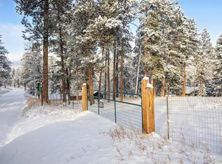 252 Beaver Trl, Bailey, CO 80421