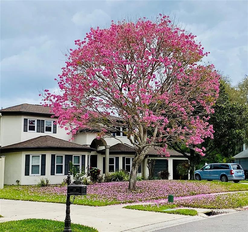 4 bed, 2.5 bath, 3191 sqft, $4,500 — Photo 1