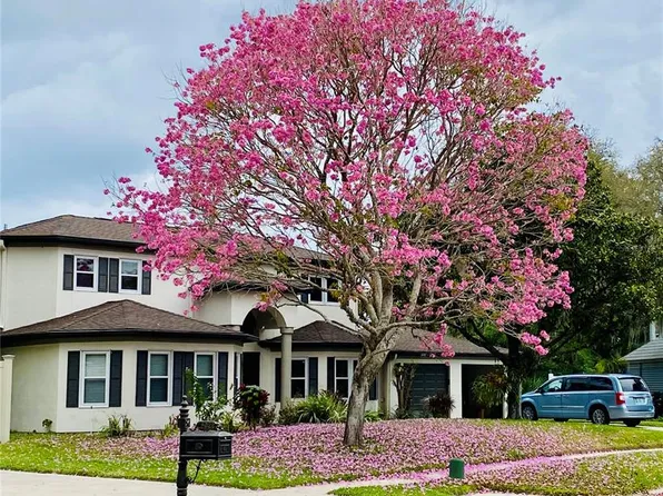 15924 Nottinghill Dr, Lutz, FL 33548