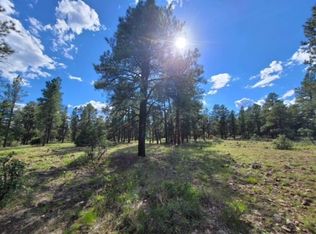 771 Oakbrush St, Pagosa Springs, CO 81147