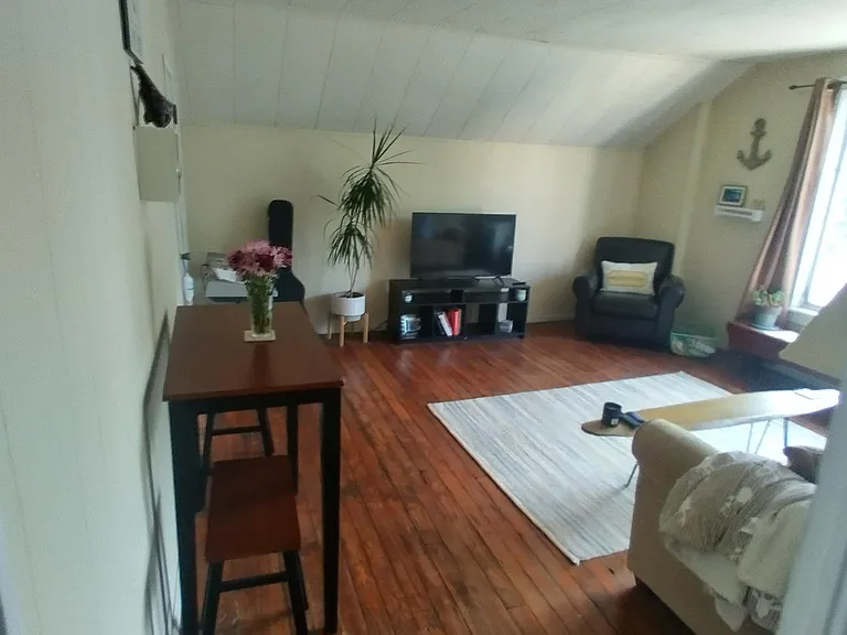 LIVING ROOM IS UPDATED / LIGHT GREY WALLS WITH SHORT ACENT WALL THAT IS DARK GREY AND A BLACK CEILING. FLOOR IS NOW CARPETED