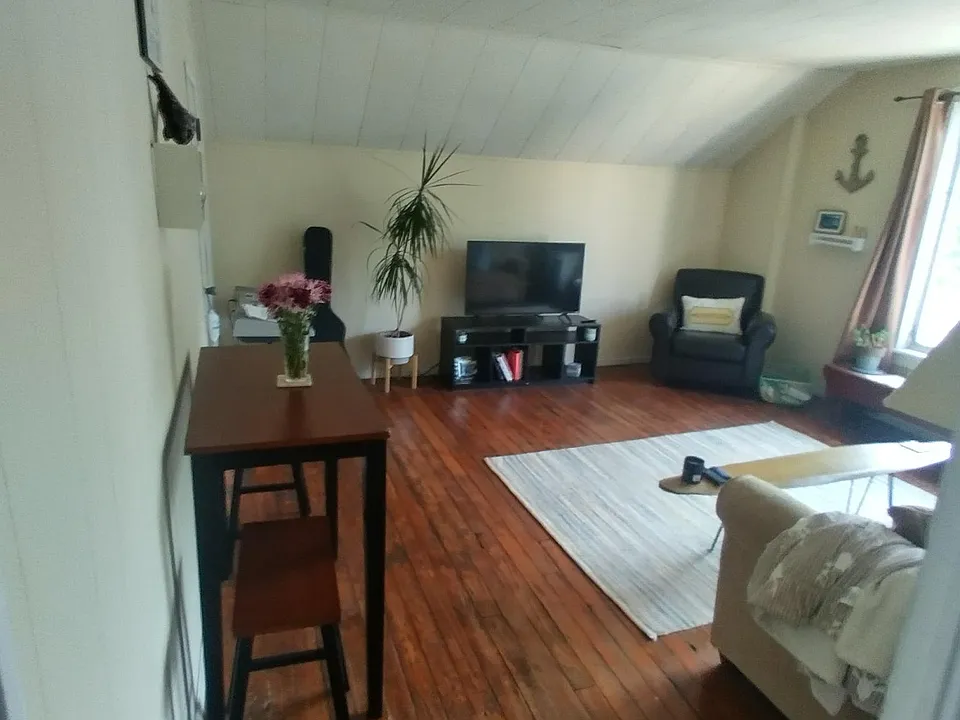 LIVING ROOM IS UPDATED / LIGHT GREY WALLS WITH SHORT ACENT WALL THAT IS DARK GREY AND A BLACK CEILING. FLOOR IS NOW CARPETED