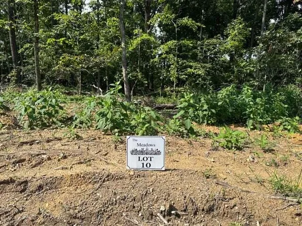 10 The Mdws Lot 10, Riceville, TN 37370