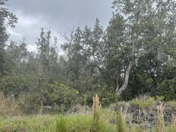 92-2232 Palm Pkwy Lot 6, Ocean View, HI 96737