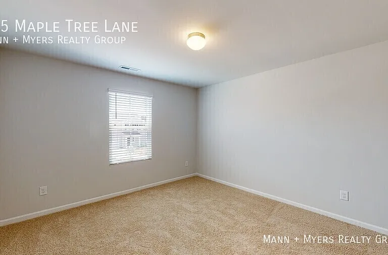 135 Maple Tree Ln — Photo 28