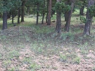 1379 N Mountain Estates Rd, Florissant, CO 80816