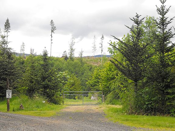 106 Primrose Lane, Cinebar, WA  98533