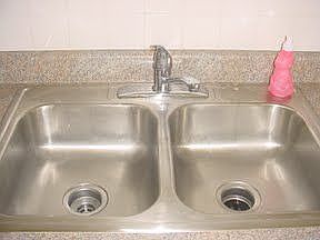 Double sink and disposer