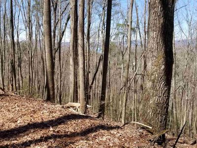 2 Tr 2 Chancey Ridge Dr, Hiawassee, GA, 30546