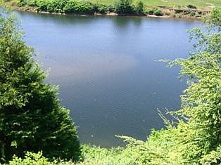 View of Nehalem River